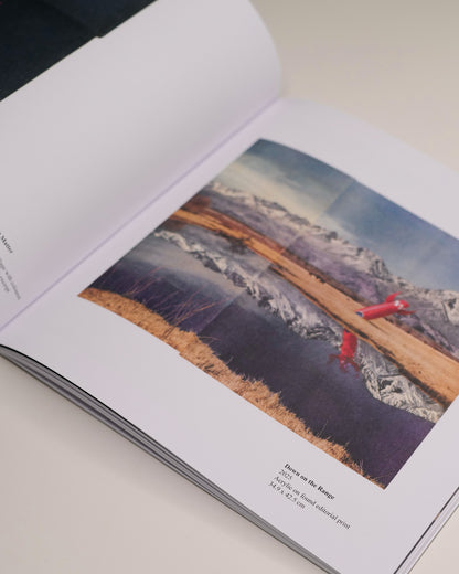 Disasters & Interventions Catalogue