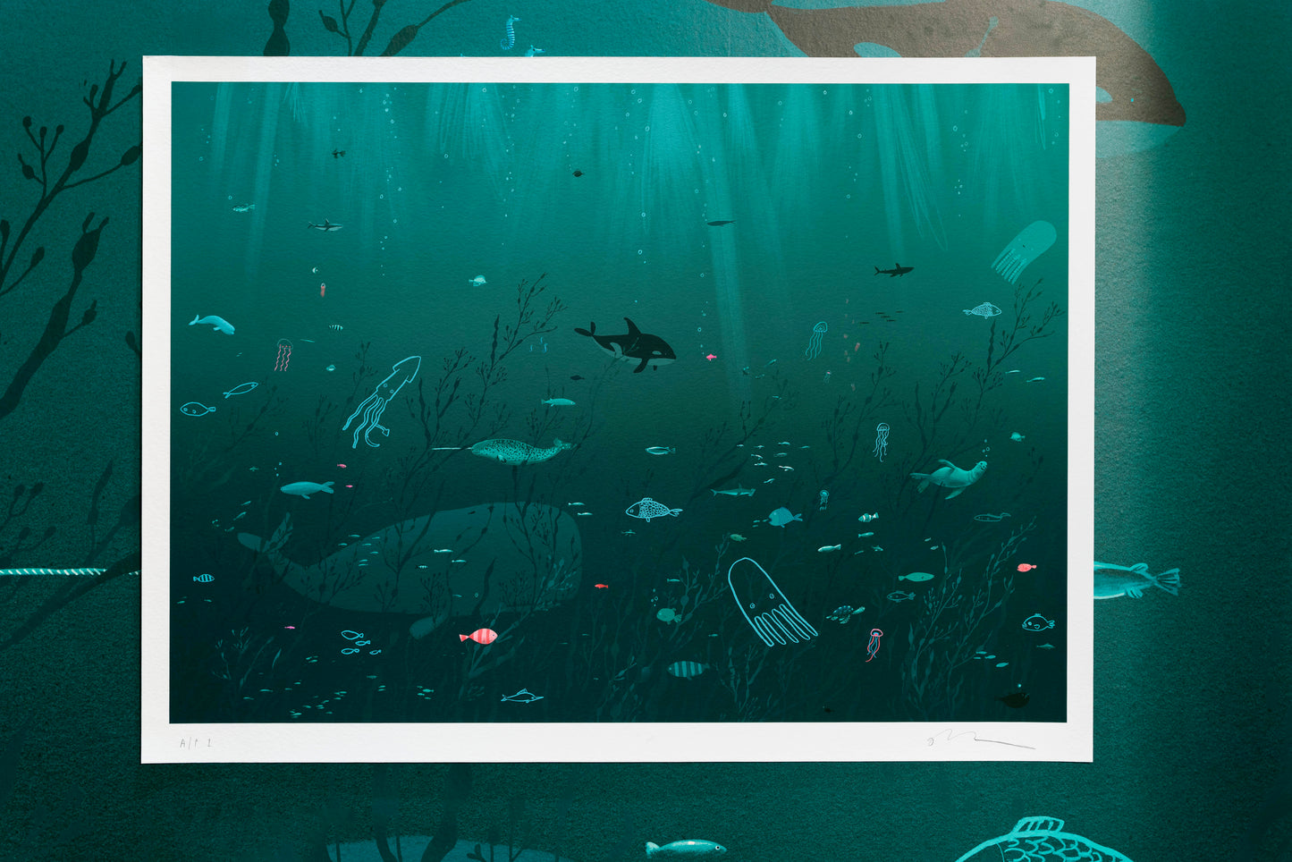 Sea Life Limited Edition print