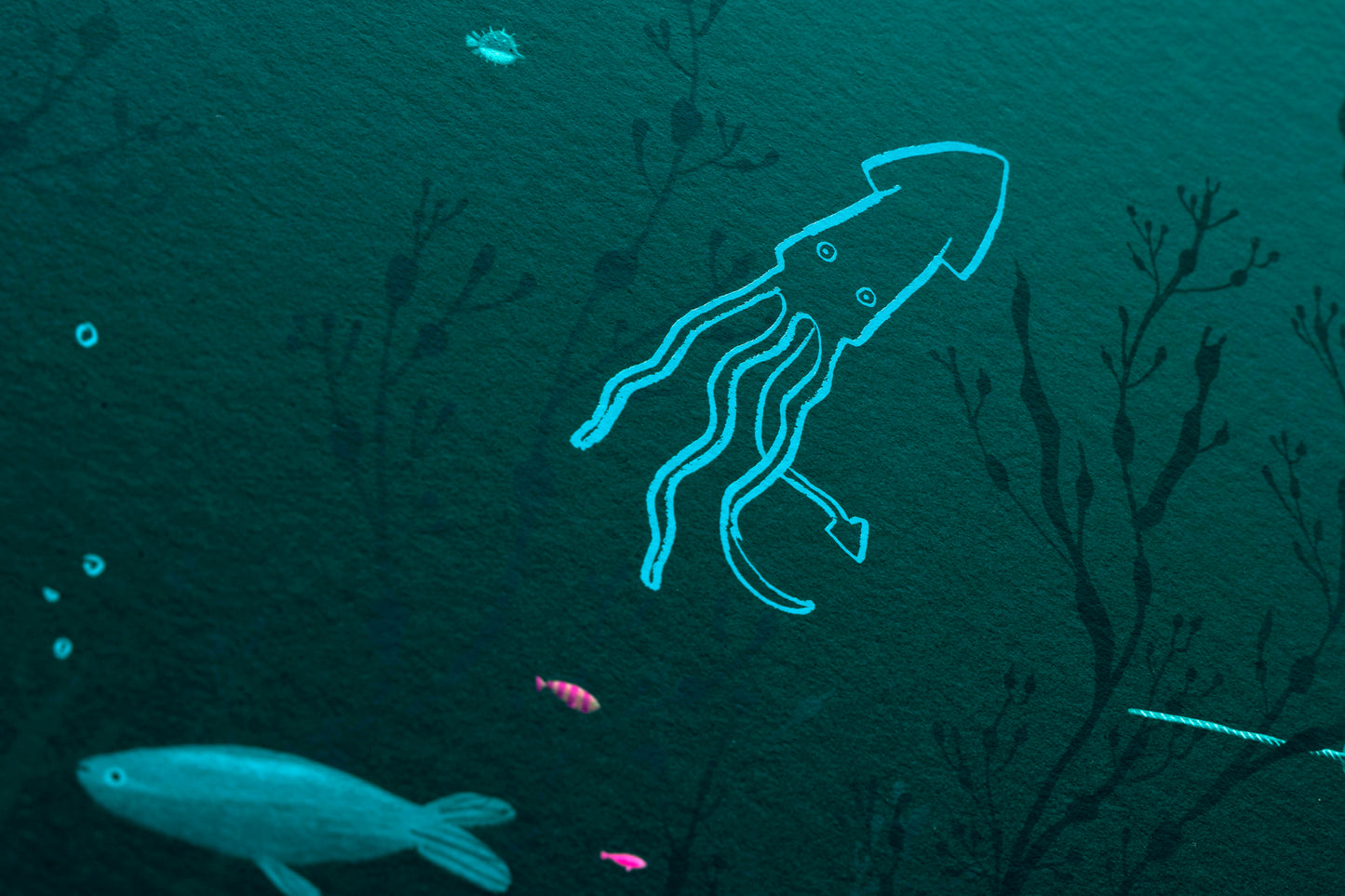 Sea Life Limited Edition print