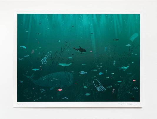 Sea Life Limited Edition print